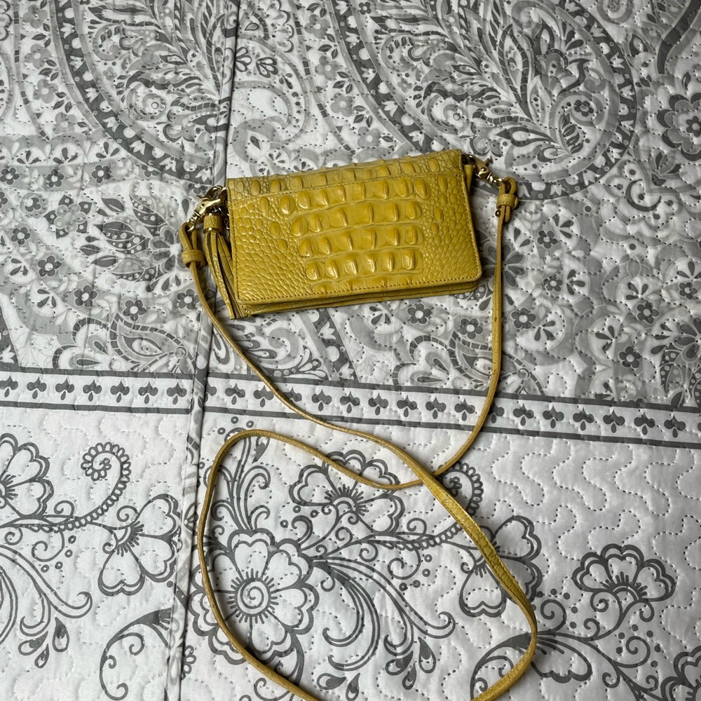 Summer Brahmin fun!